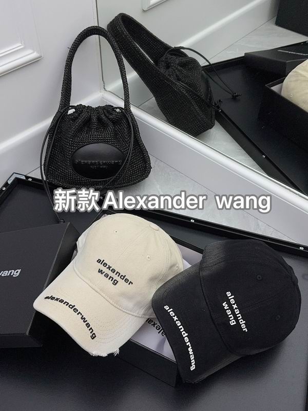 Alexander Wang cap (11)